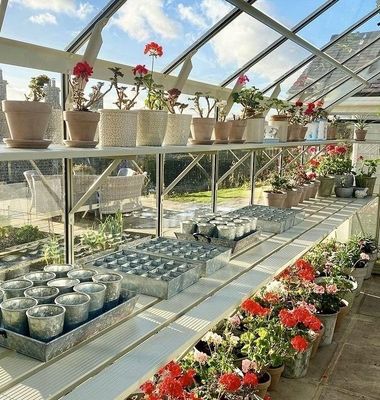 Greenhouse