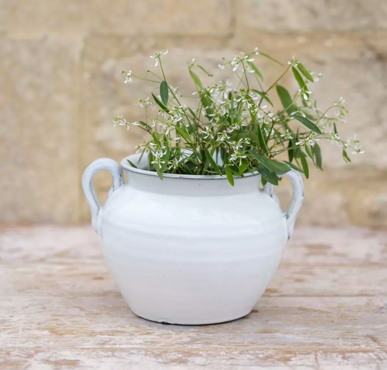 Timeless White Ceramic Vase
