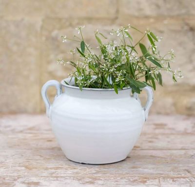 Timeless White Ceramic Vase