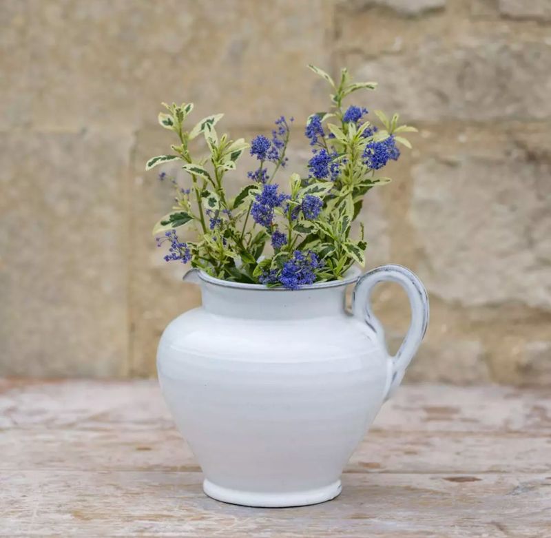 Timeless White Ceramic Jug