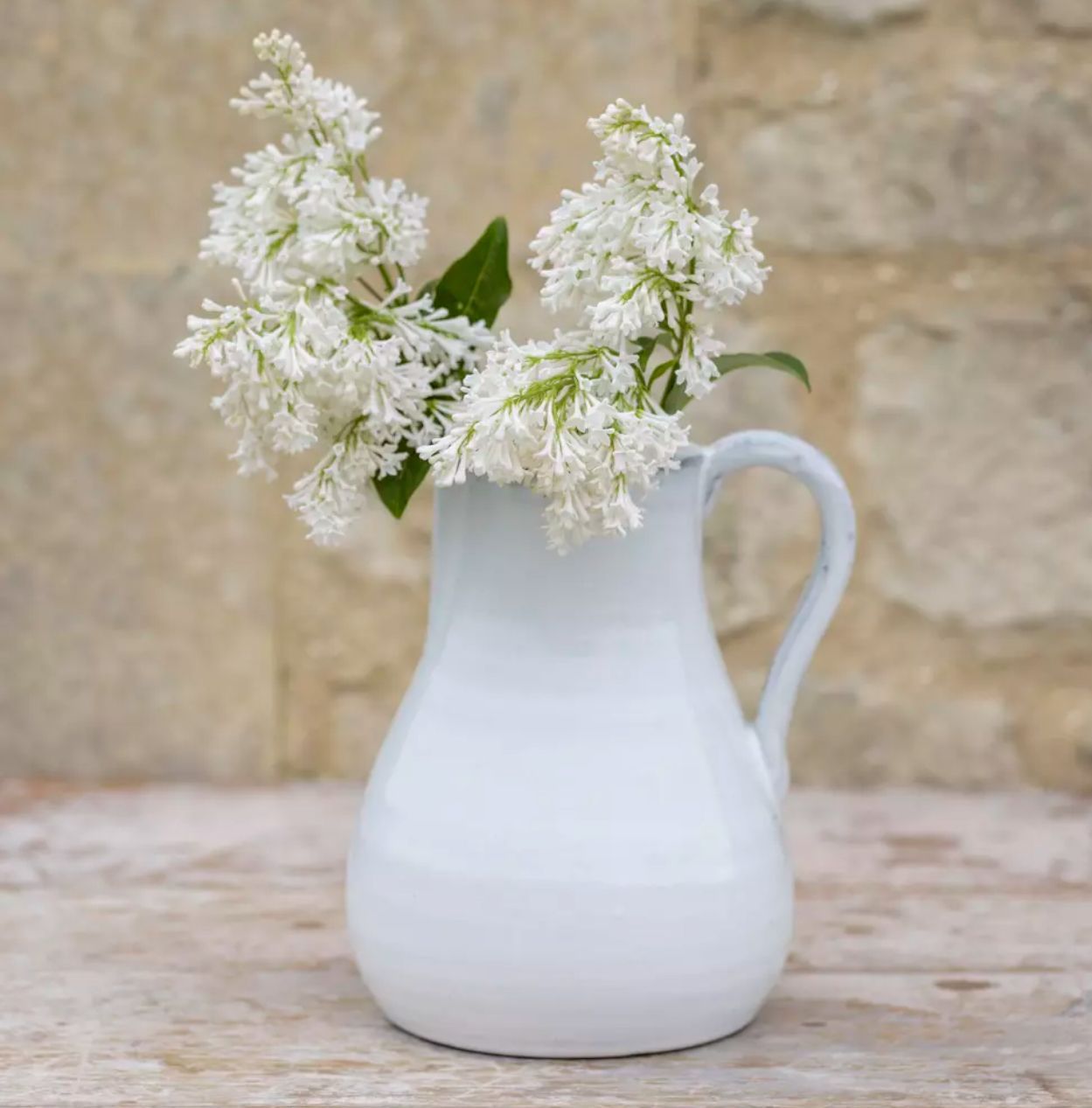 Timeless White Ceramic Pitcher