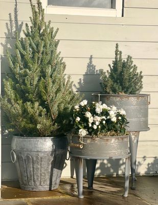 Trio of Metal Tulip Urn Planters