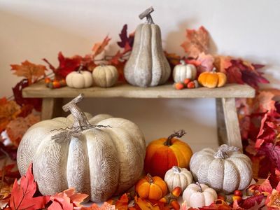 Seasonal