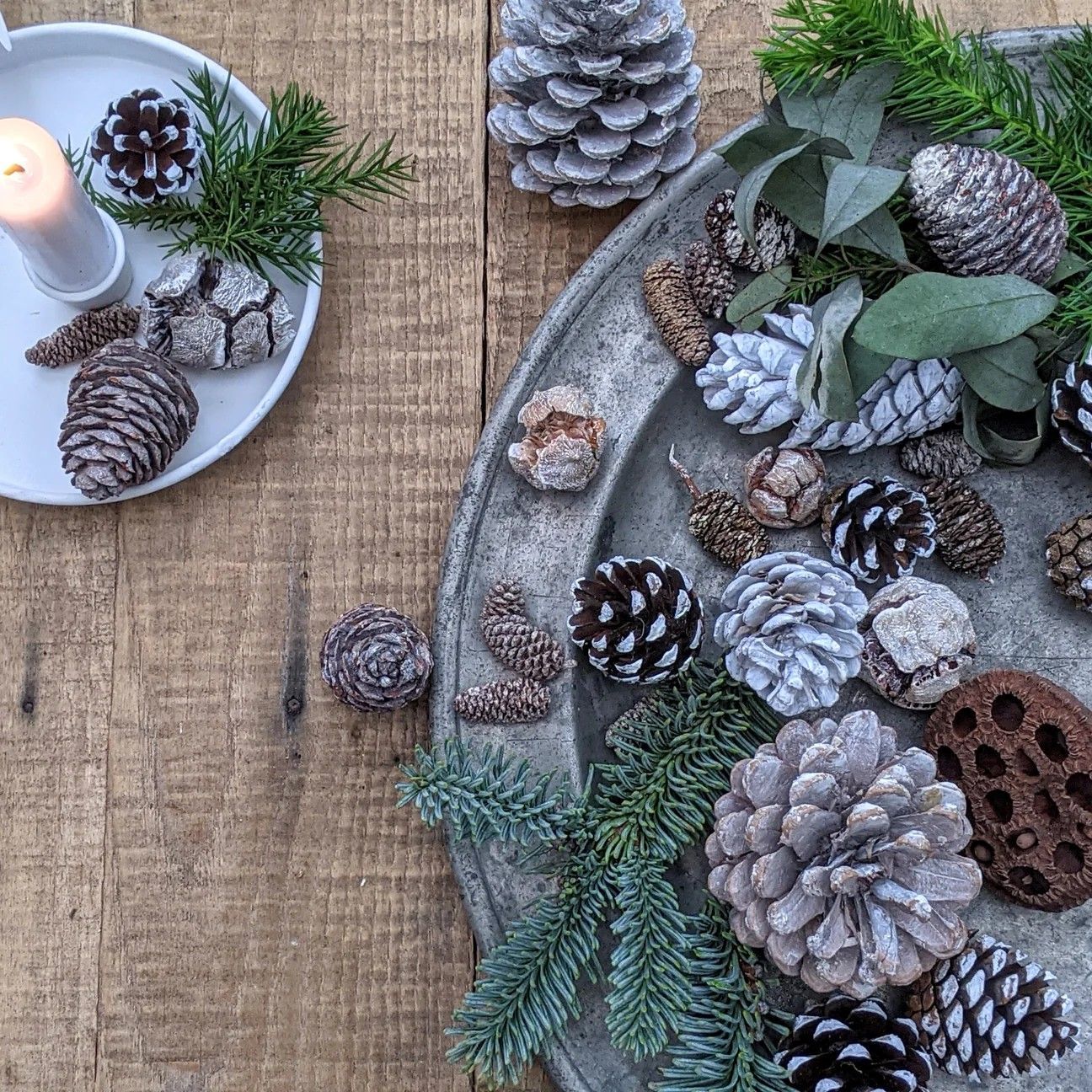 Natural White Mixed Pinecone Assortment Mixed White Pinecone Accessories Bag ideal for adding a touch of natural decoration to wreaths, candle displays and more