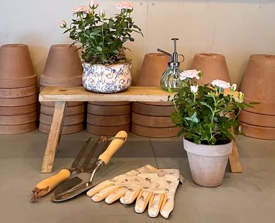 Rustic Wooden Display Benches