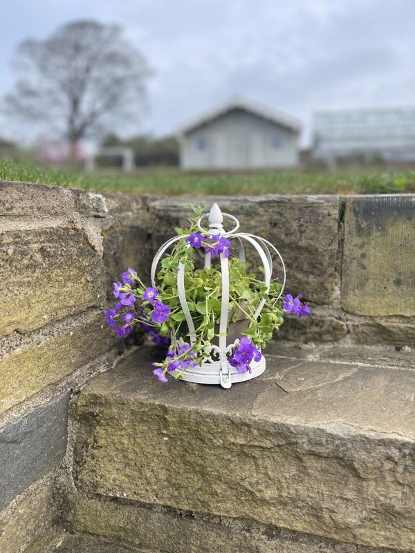 Crown Cloche Tea Light Holder