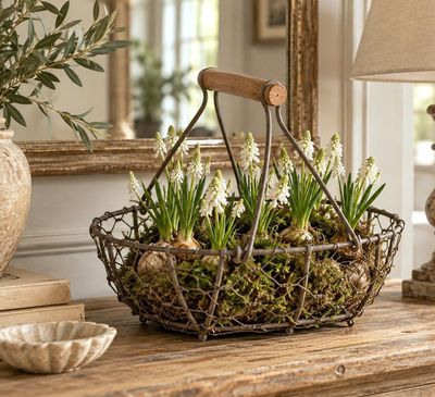Rustic Brown Wire Baskets Rustic wire baskets make a pretty seasonal floral arrangement in your home and garden