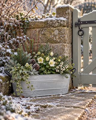 Aged Zinc Troughs Rustic aged zinc trough planter with black handles, perfect for winter blooms, seasonal displays and country cottage gardens.
