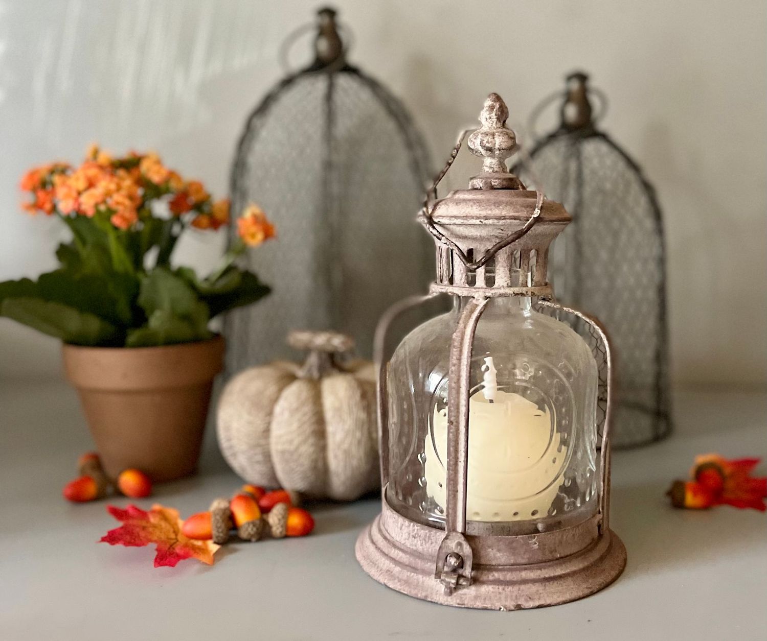 Fleur De Lys Lantern, Colour: Natural