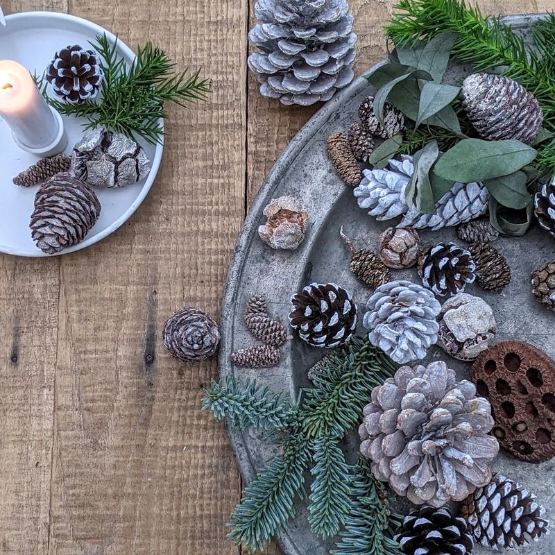 Mixed White Pinecone  Accessories Bag ideal for adding a touch of natural decoration to wreaths, candle displays and more
