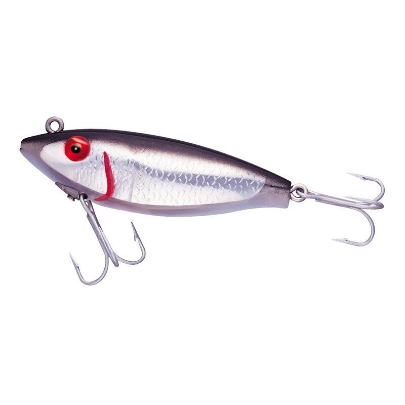 Scaled Sardine  32M