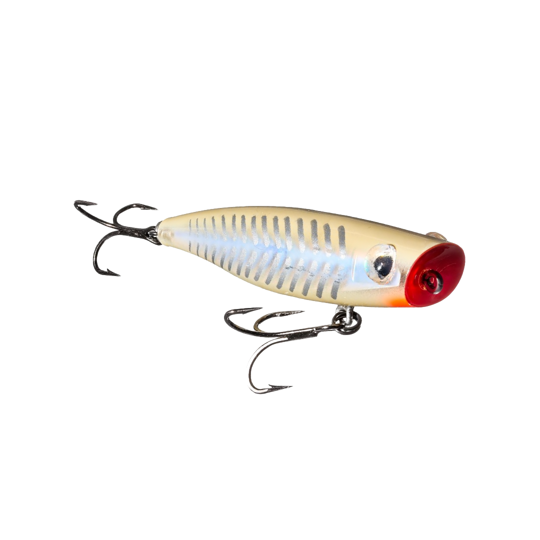 C-Eye Series Poppa Mullet C36