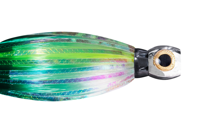 NEW Flasher Series - Sea Stars