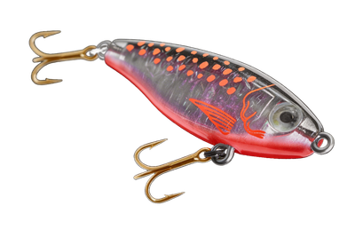 Limited Edition Colors