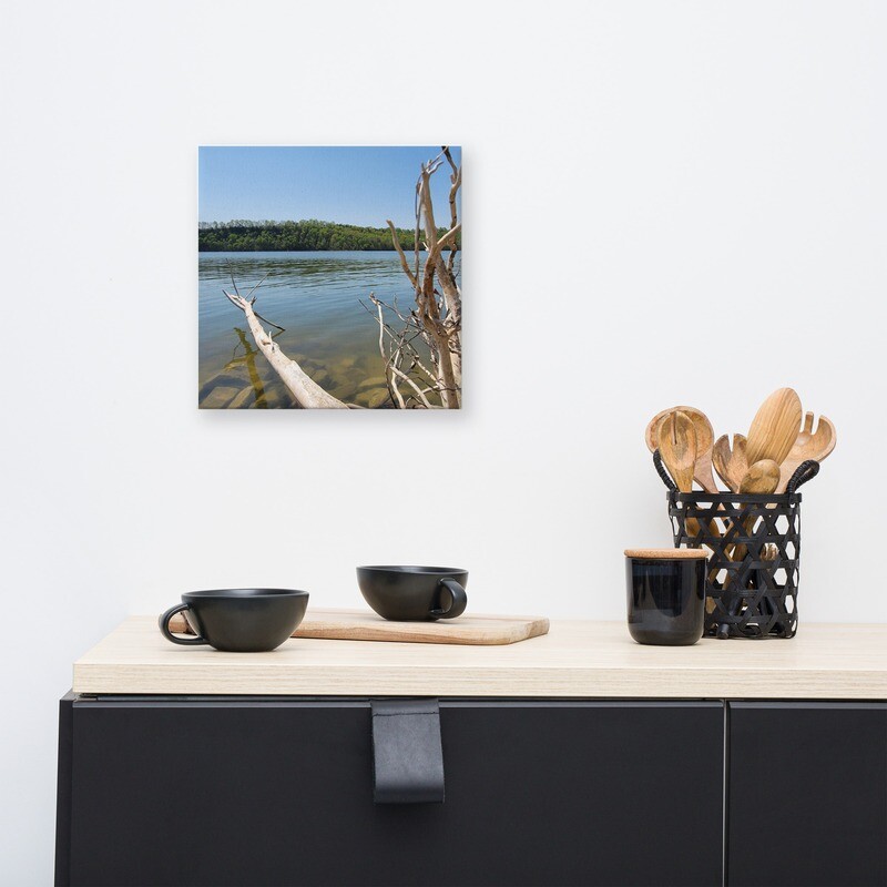 Canvas Lake Photo Driftwood 1