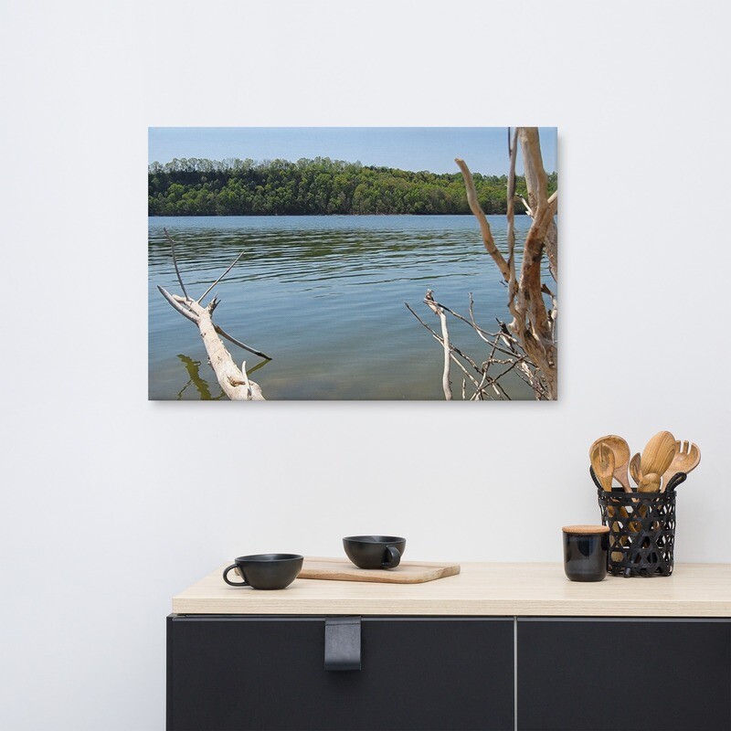 Canvas Lake Photo Driftwood 1