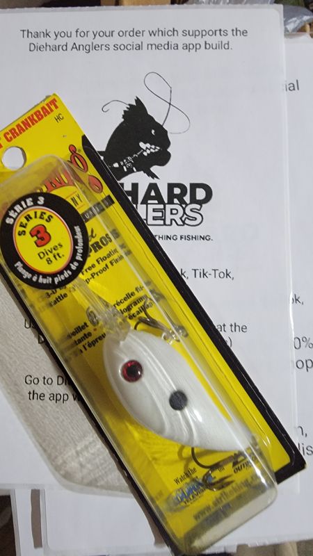 Strike King Pro Model Crankbait