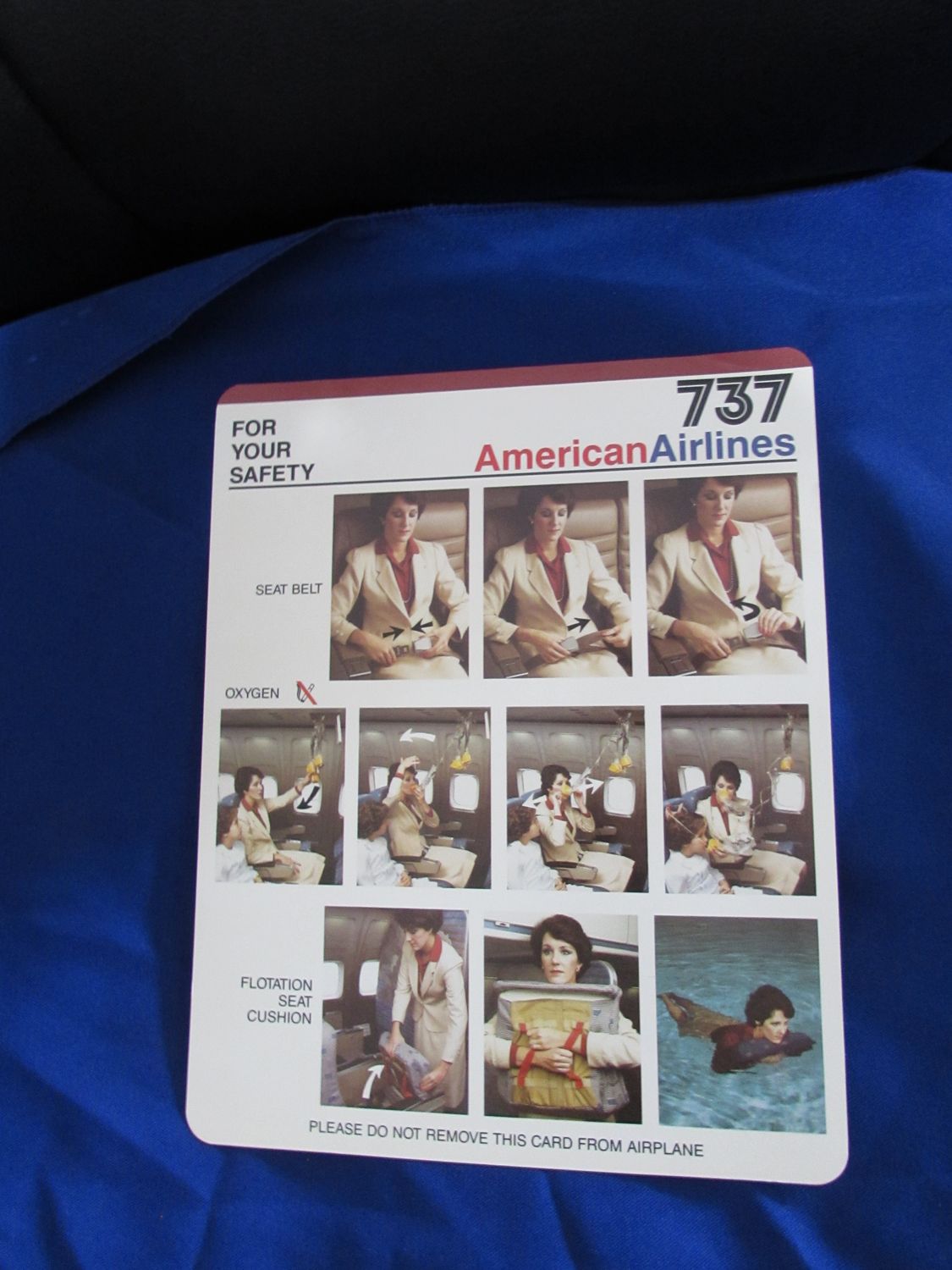 American Airlines 737 (Brown Stripe on Top of Card)