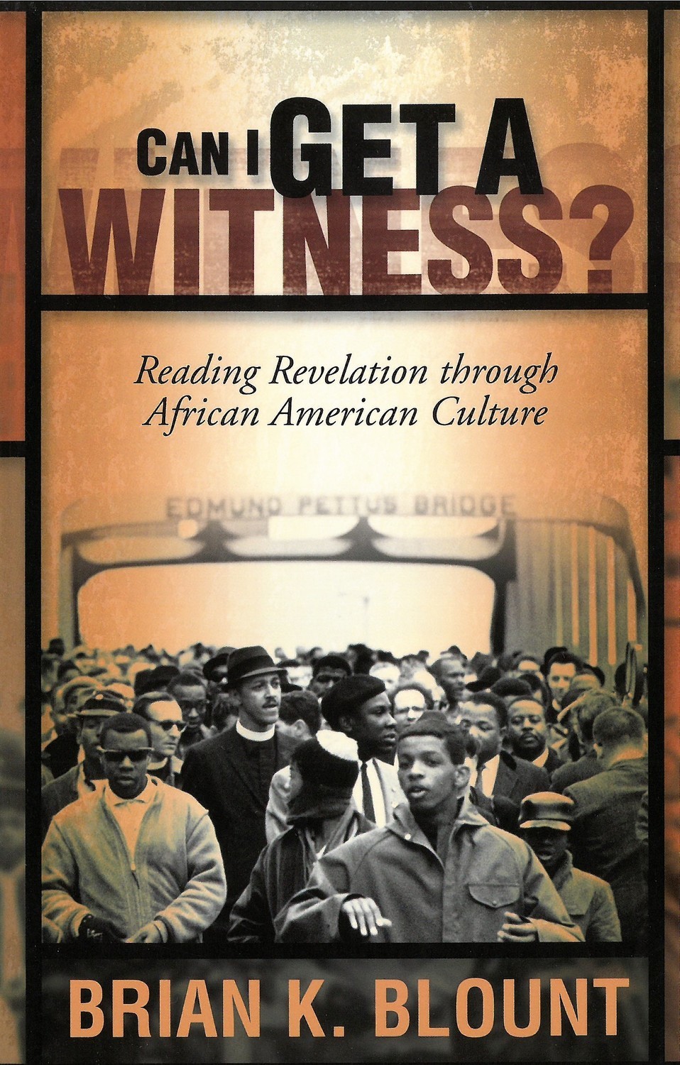 Can I Get a Witness?: Reading Revelation through African American Culture