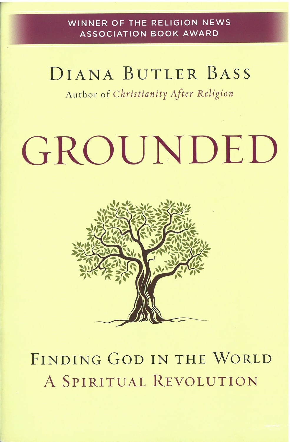 Grounded: Finding God in the World, A Spiritual Revolution