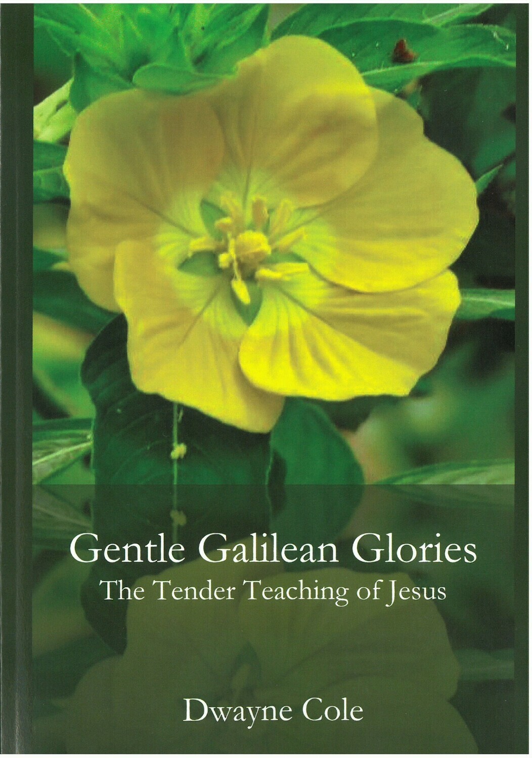 Gentle Galilean Glories