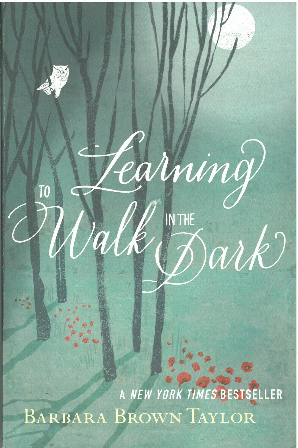Learning to Walk in the Dark
