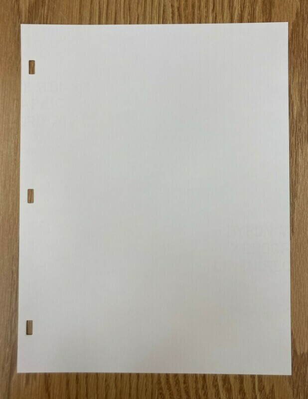 Session Record Minute Filler Pages BLANK - three post