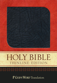 Holy Bible: Thinline Edition