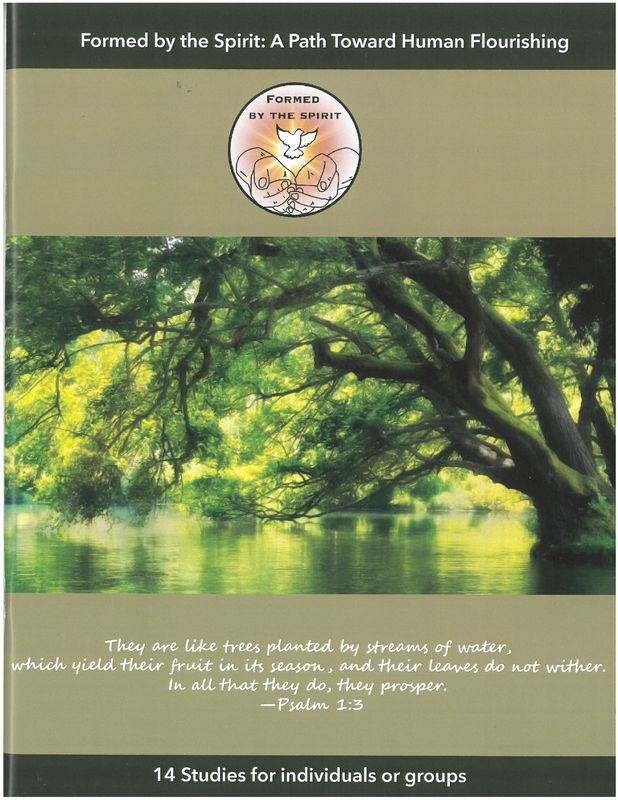 Formed by the Spirit Workbook