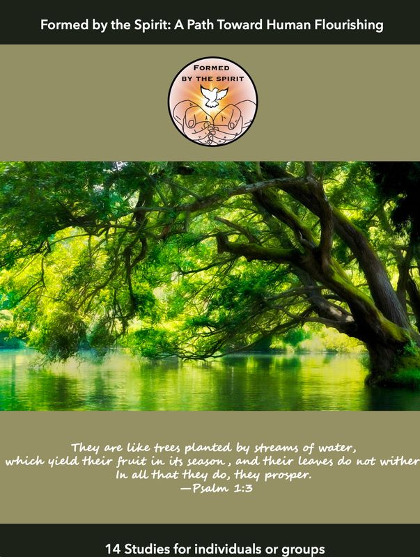 Formed by the Spirit: A Path Toward Human Flourishing (Print)
