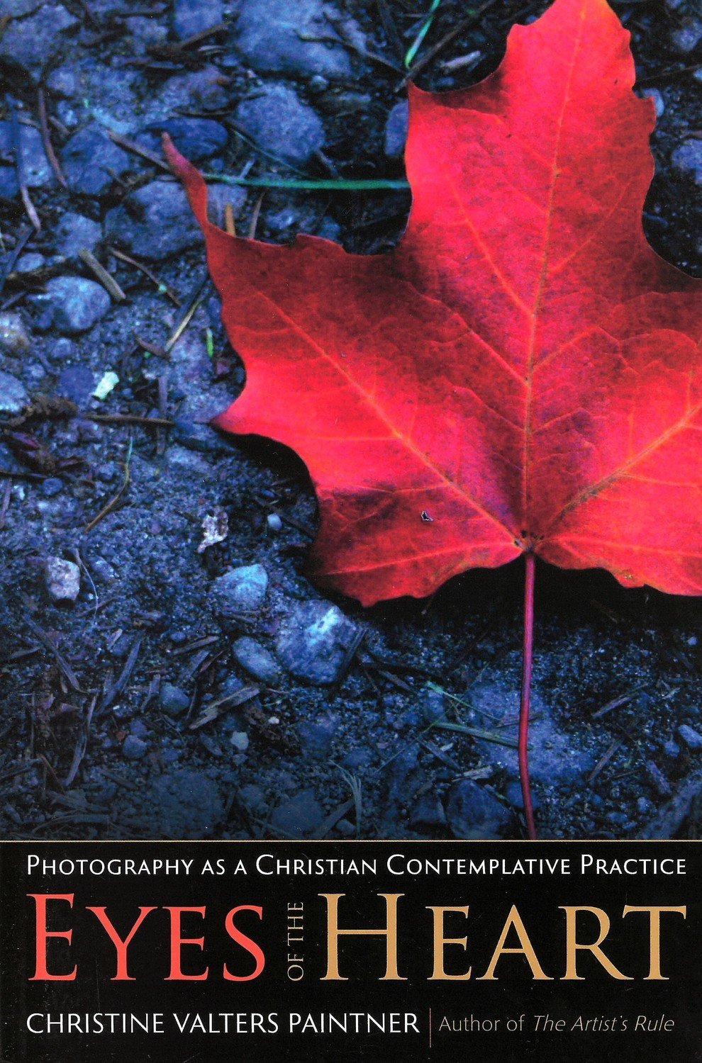 Eyes of the Heart: Photography as a Christian Contemplative Practice