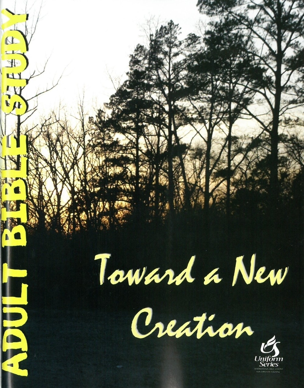 Toward a New Creation