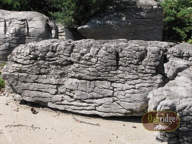 Elephant Rock