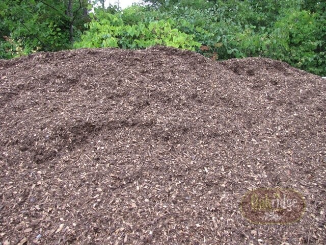 Pine Mulch