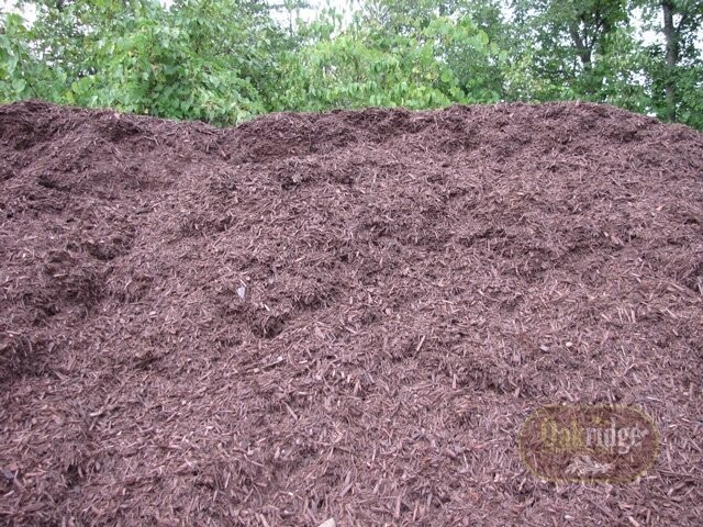 Cedar Mulch