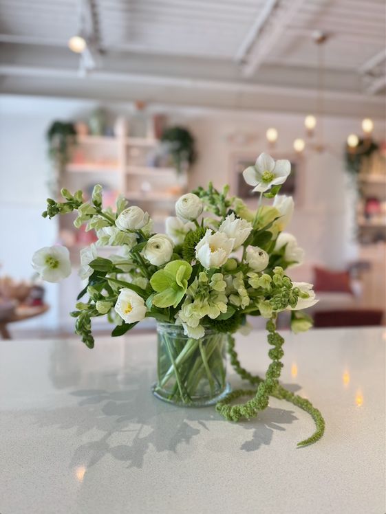 Designer's Choice Medium