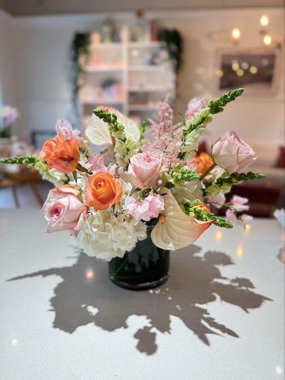 Designer's Choice Large