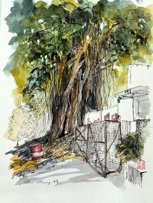 Banyan. Watercolour Greeting cards/ Postcards/ Art prints of Hong Kong 小店 香港水墨淡彩賀卡/ 明信片／印畫