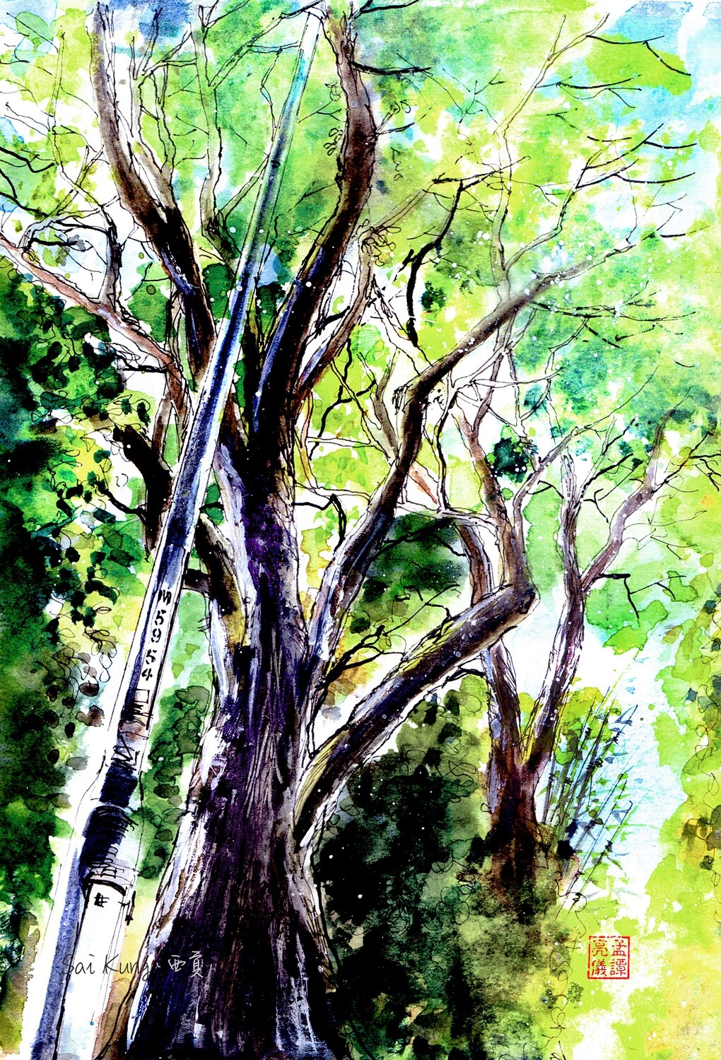 Summer Trees. Watercolour Greeting cards/ Postcards/ Art prints of Hong Kong   夏樹。 香港水墨淡彩賀卡/ 明信片／印畫
