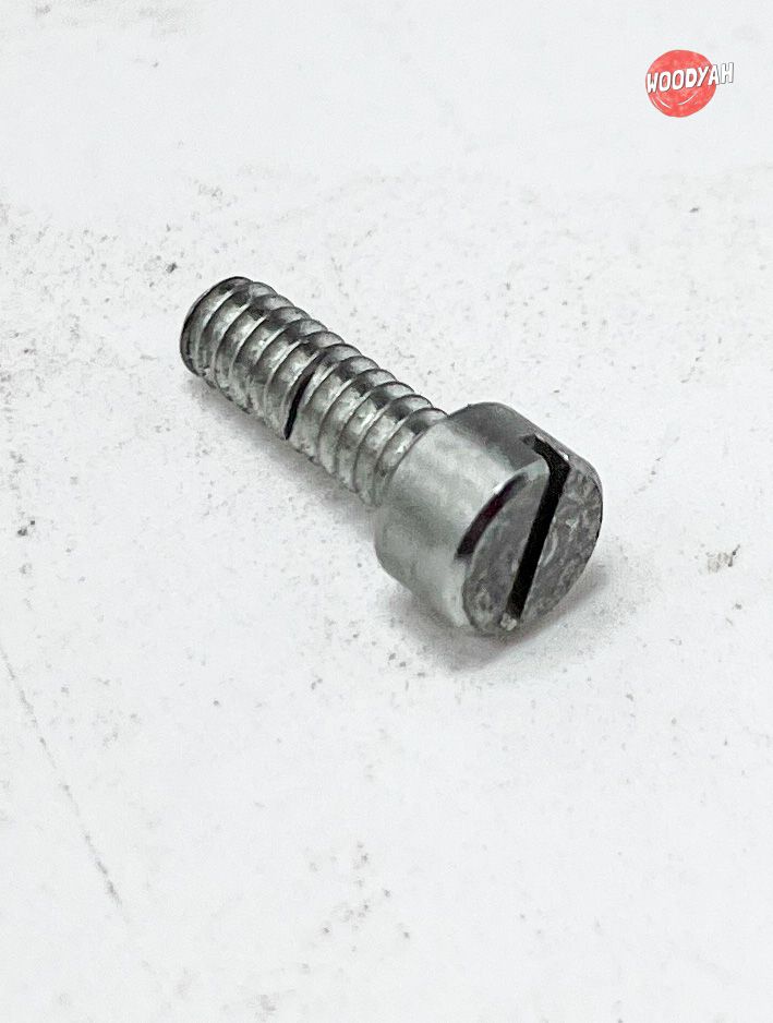 12-20 Cheese Head Frog Screw 2 Pack