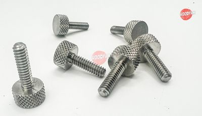 10-24 x 11/16th Record Plane Compatible Screw