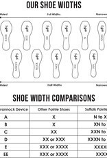 Spotlight Pointe Shoe