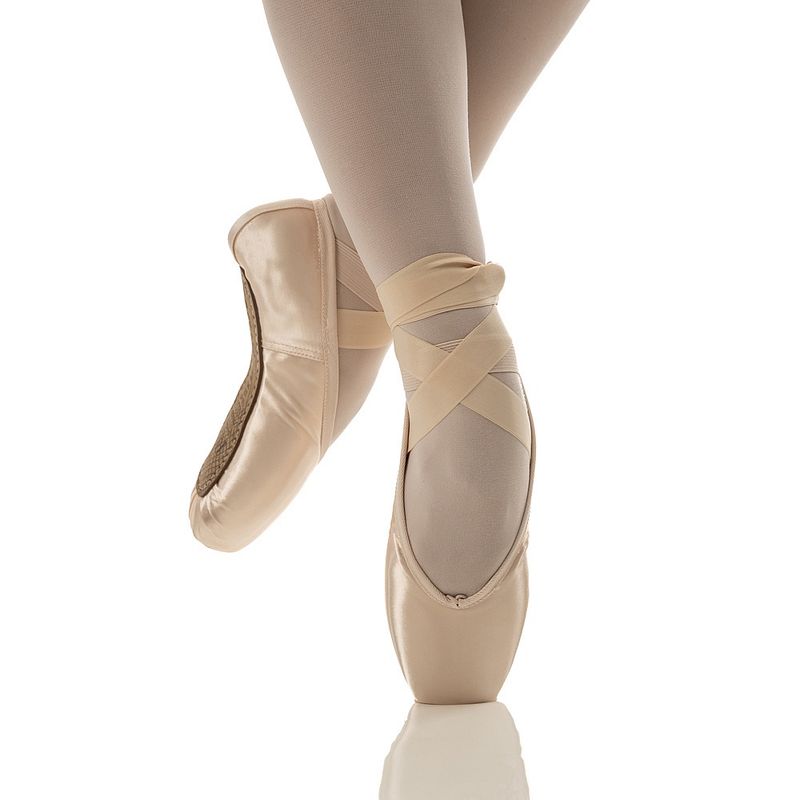 AD69 Soleia Pointe Shoe