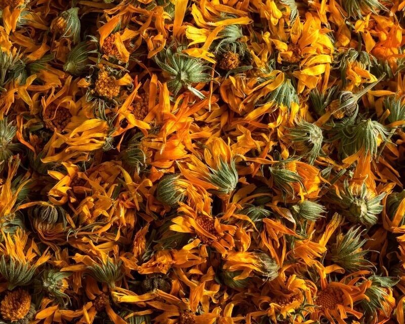 Dried Calendula