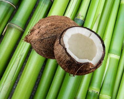 Bamboo and Coconut Fragrance Oil