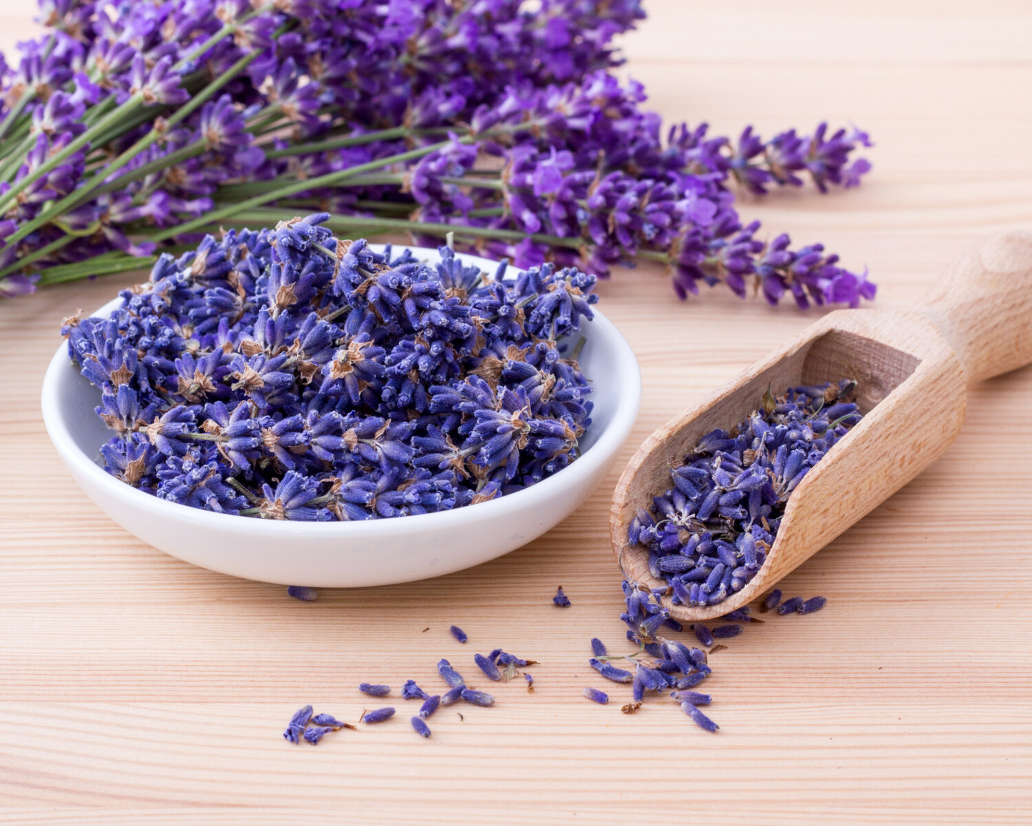 Lavender Fragrance Oil