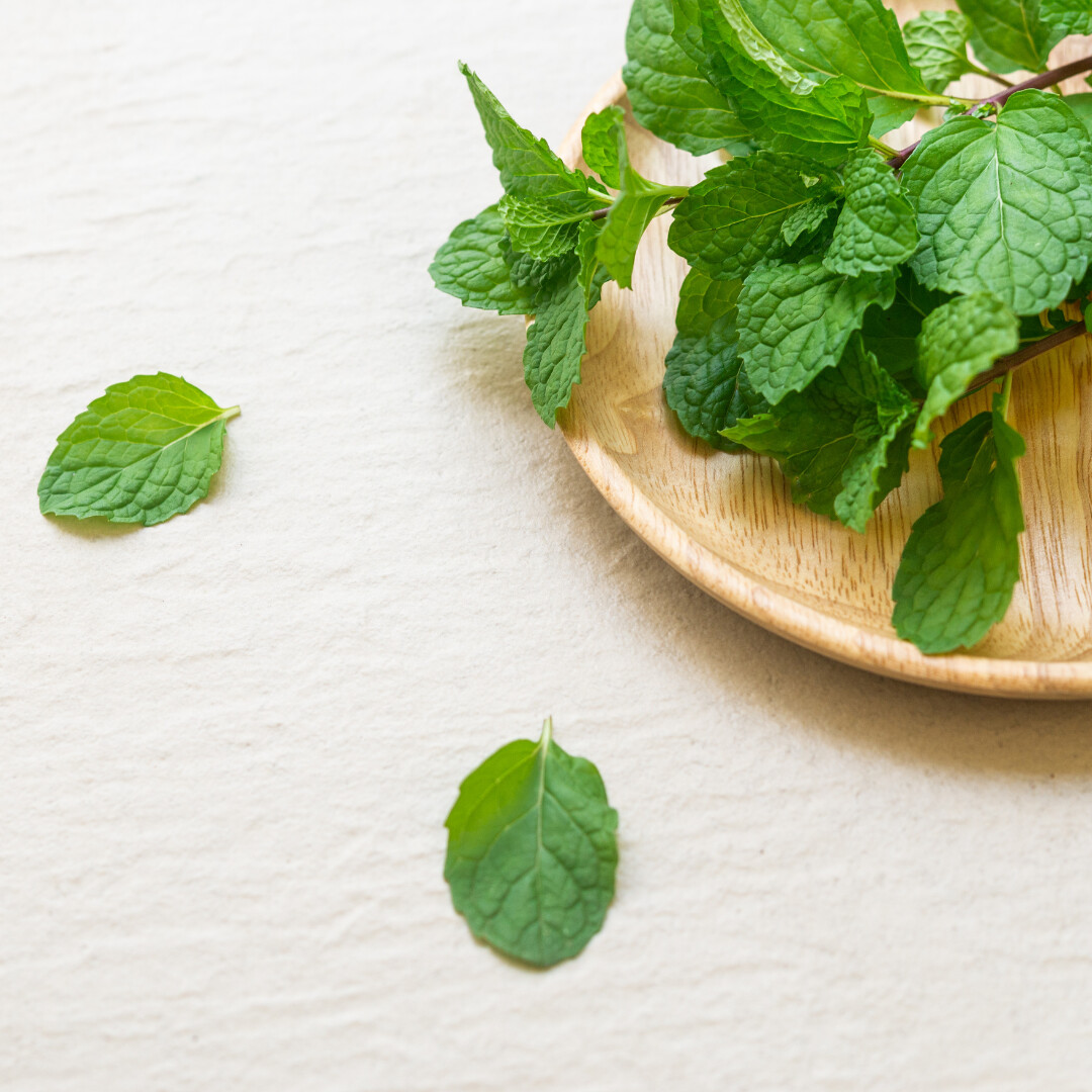 Peppermint Essential Oil