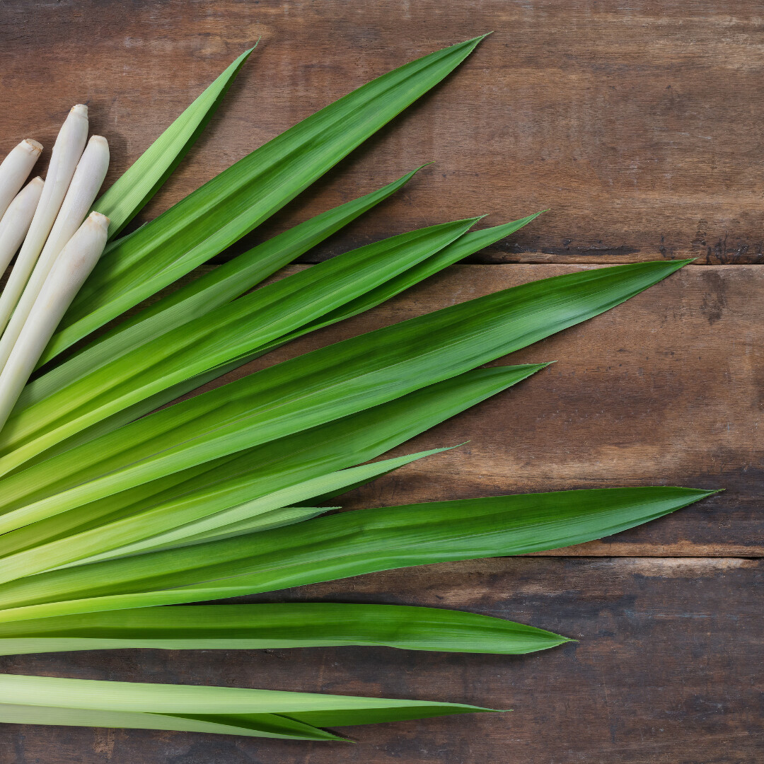 Lemongrass Essential Oil