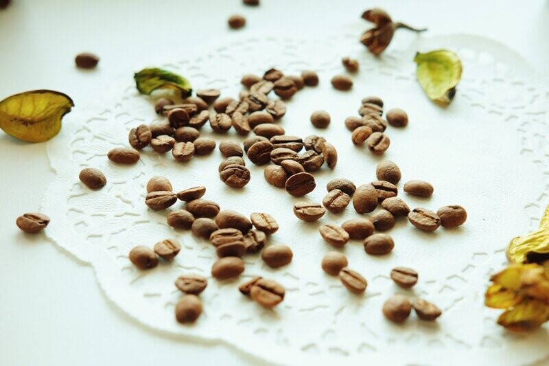 Cocoa Butter