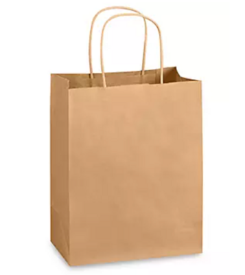 Kraft Gift Paper Bag With Handle 10x8 inches (Pack of 12)